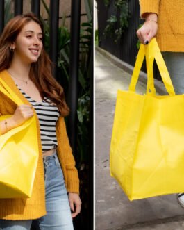 BO0022 Bolsa Gaby