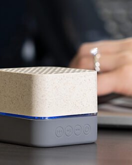 TE0648 Altavoz Cream