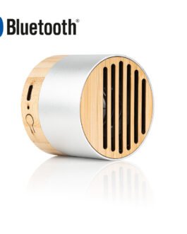 TE0666 Altavoz New